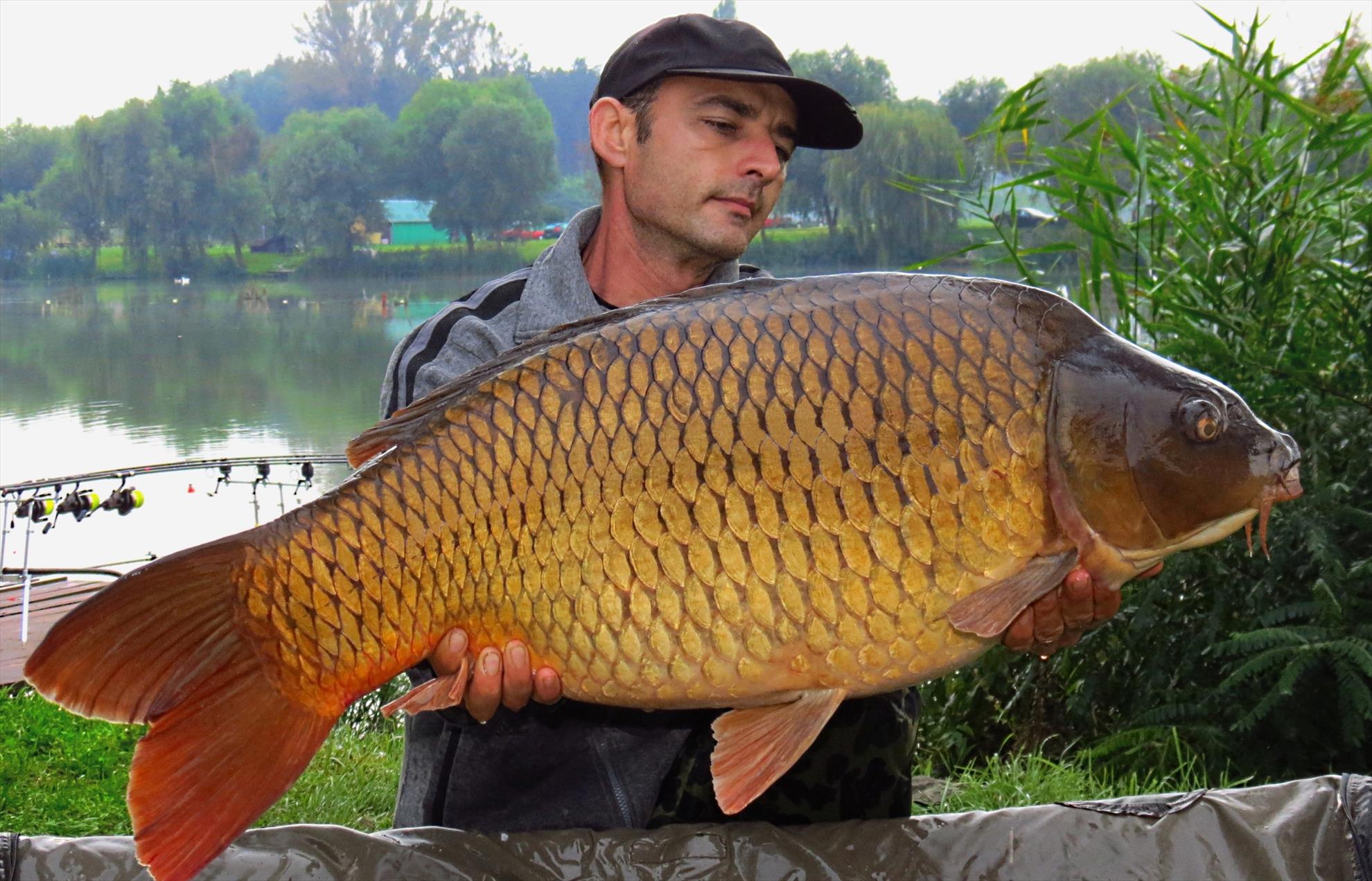 Palici Sep.2014 - img6161-016-comun-1612-kg-la-530.JPG